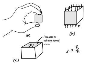 Normal Stress Eigenplus